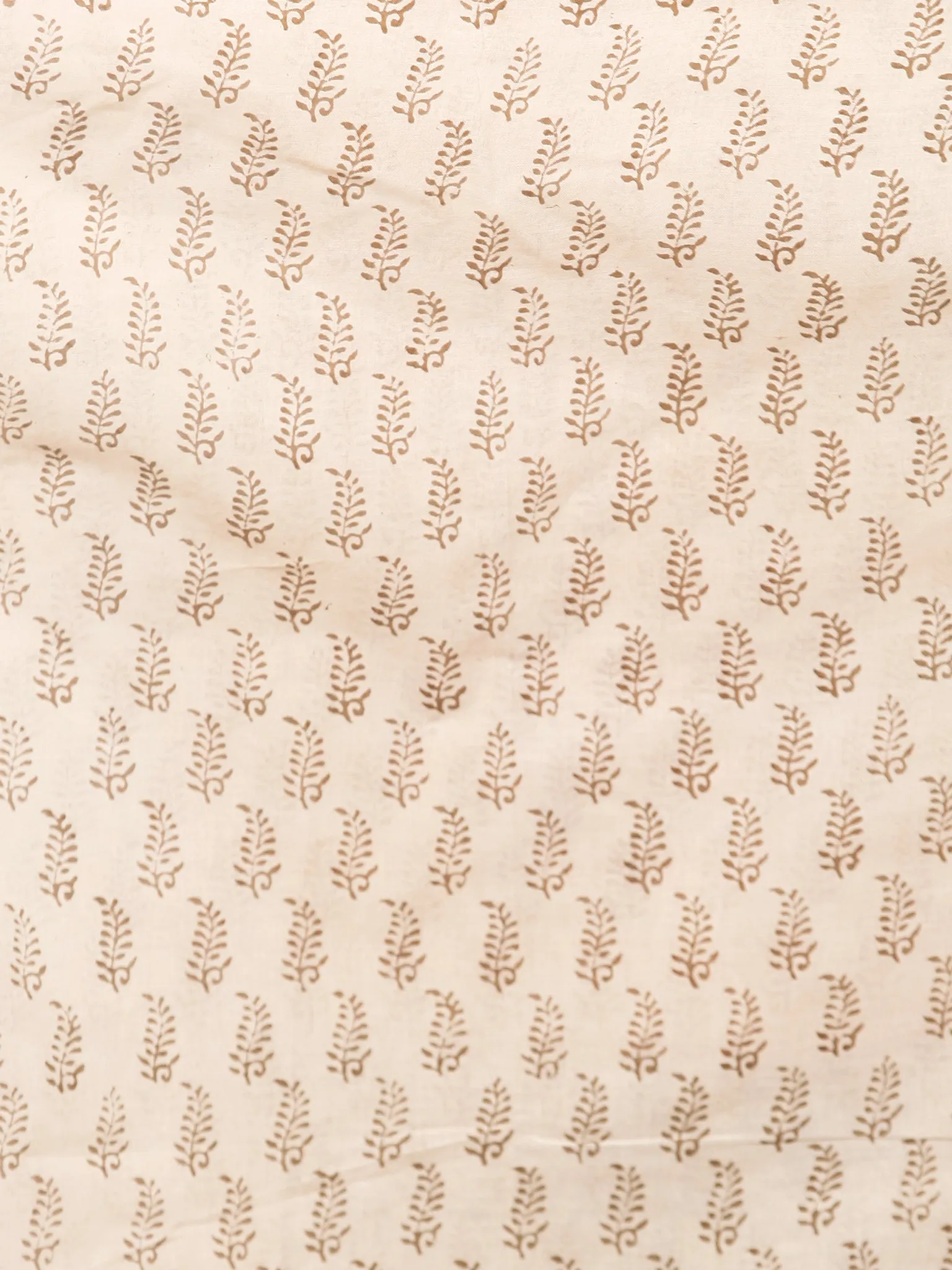 Beige Brown Bagh Printed Maheshwari Cotton Saree - S031703336